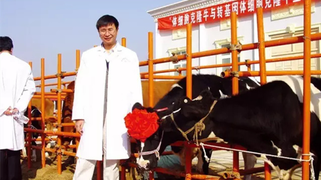 ����������ͼ��